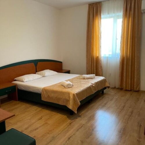 Camera dubla standard