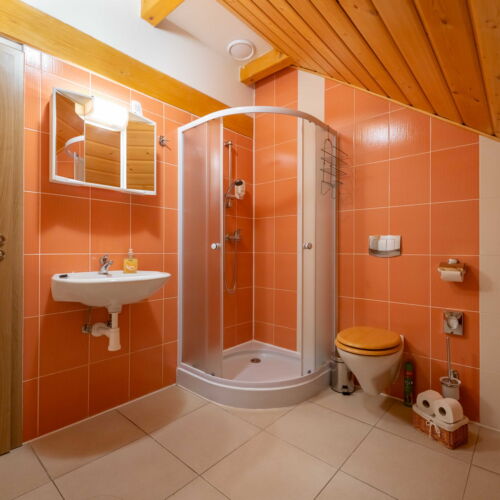 Mansard 2-Room Apartment for 6 Persons with Shower