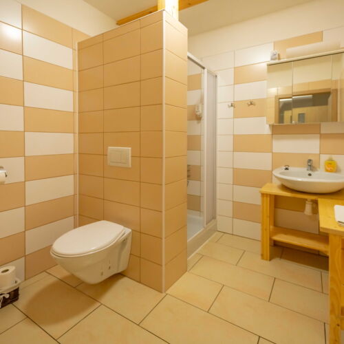 2-Room Apartment for 4 Persons with Shower