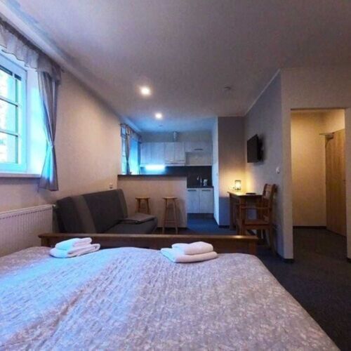 1-Room Apartment for 2 Persons (extra bed available)