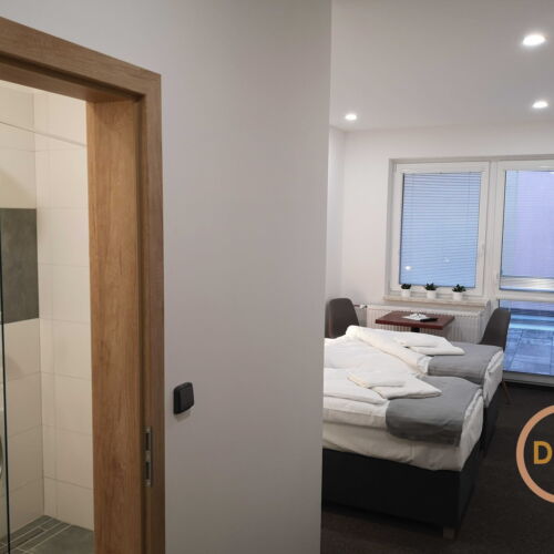 Pokoj se sprchou  pro 2 os.