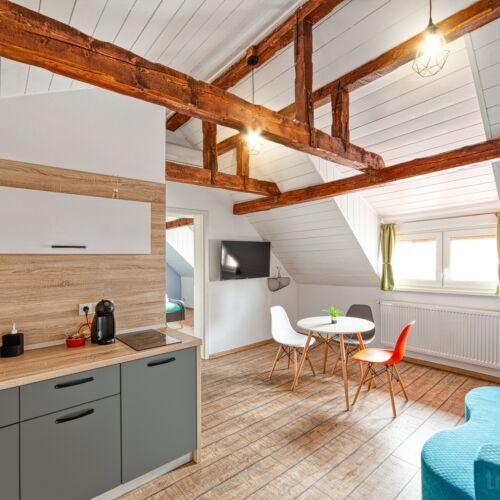 Apartament family cu 2 camere pentru 4 pers.