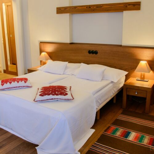 Teraszos Premium kétágyas szoba (pótágyazható)