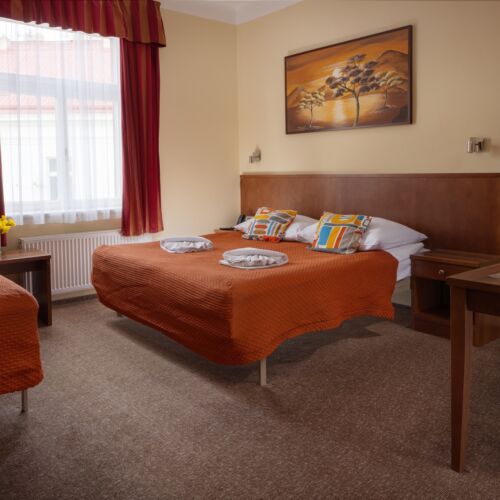 Studio 1-Room Apartment for 3 Persons with Own Kitchen