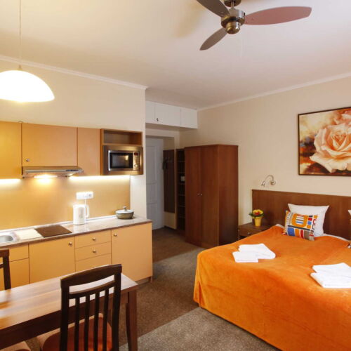 Studio 1-Room Apartment for 2 Persons with Own Kitchen