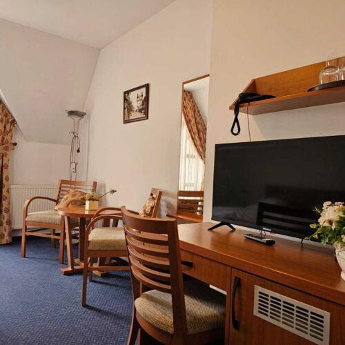 Pokoj pro 2 os. (s možností přistýlky)