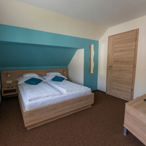 Camera dubla la mansardă cu vedere spre grădină