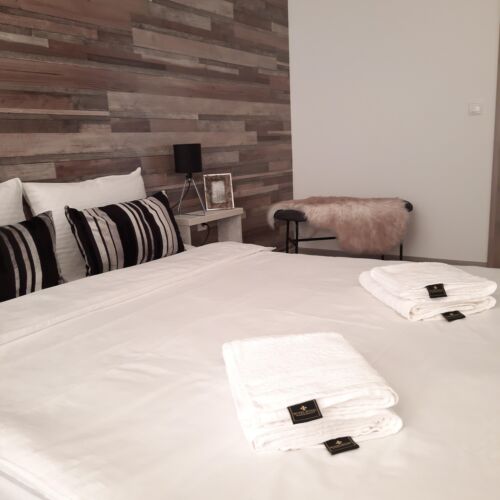 Apartament cu 1 camera pentru 4 pers.