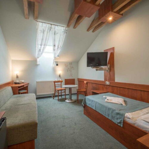 Pokoj se sprchou s klimatizací pro 1 os.