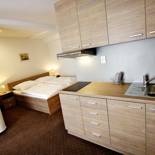 Apartament 2-osobowy z prysznicem z aneksem kuchennym (możliwa dostawka)