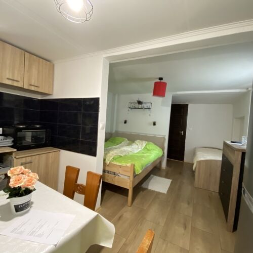 Studio 1-Room Apartment for 3 Persons with Kitchen
