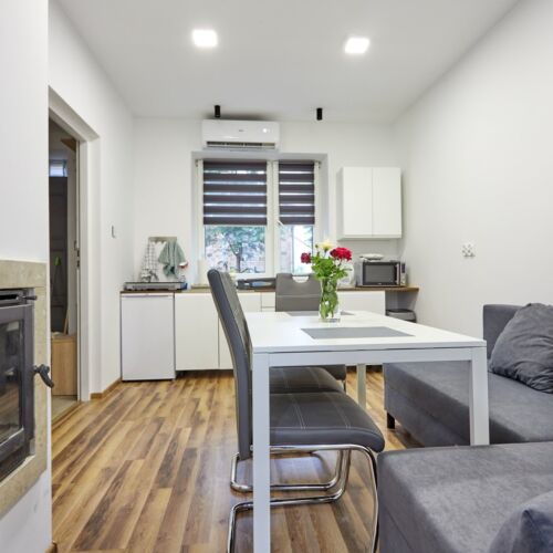 Apartament design la parter cu 1 camera pentru 4 pers.