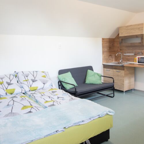 Mansard 1-Room Air Conditioned Apartment for 2 Persons (extra beds available)
