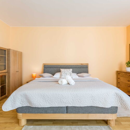 1-Room Apartment for 2 Persons (extra beds available)
