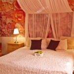 Classic Tourist soba sa francuskim krevetom (za 2 osoba(e))