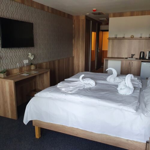 Pokój 2-osobowy z widokiem na park z widokiem na dziedziniec