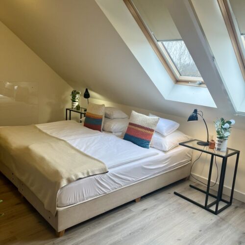 Camera twin la mansardă cu aer condiționat