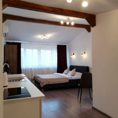 Camera dubla design cu chicinetă proprie