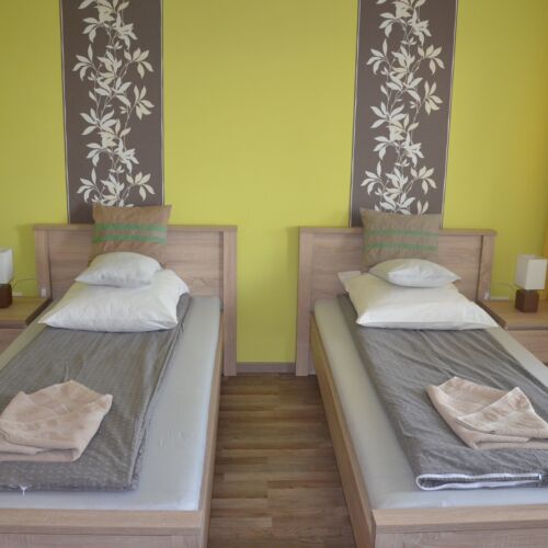 Camera twin la etaj cu vedere spre parc