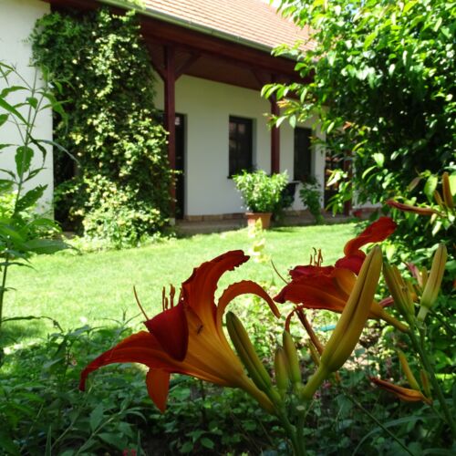 Camera tripla standard la parter