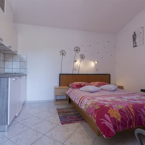 Apartament confort studio cu 1 camera pentru 2 pers.