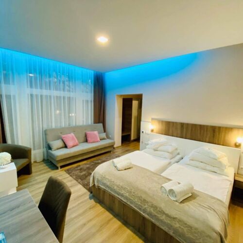 Pokoj bezbariérový s manželskou postelí přízemní (s možností přistýlky)