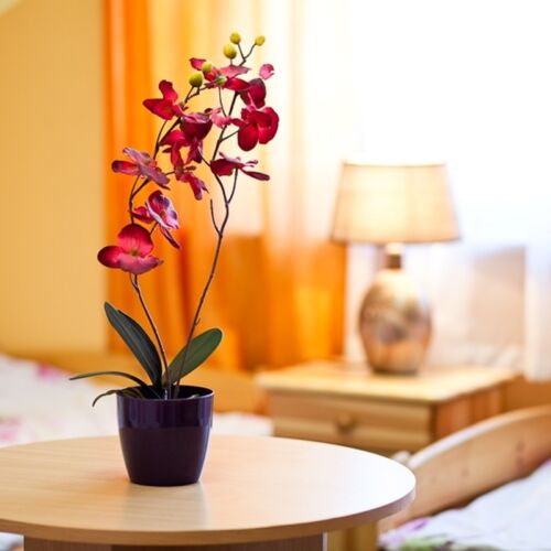 Pokój 2-osobowy z łazienką ze wspólnym aneksem kuchennym