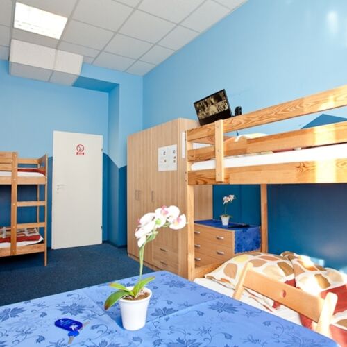 Pokój 3-osobowy ze wspólną łazienką ze wspólnym aneksem kuchennym