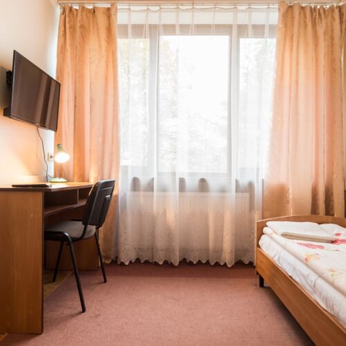 Pokój 1-osobowy Standard z łazienką