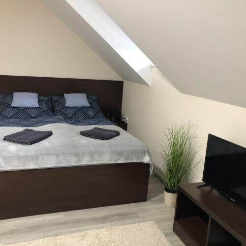 Camera dubla la mansardă cu vedere spre curte