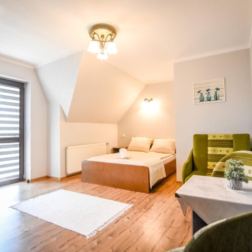 Apartament deluxe studio cu 1 camera pentru 2 pers.