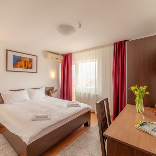 Camera dubla standard