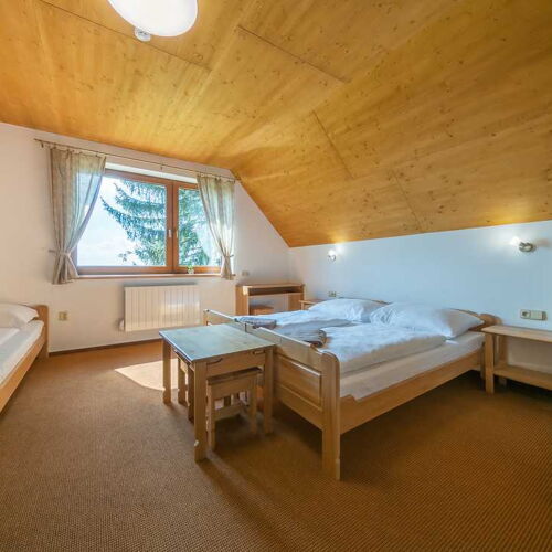 Standard Pokoj se sprchou pro 4 os.