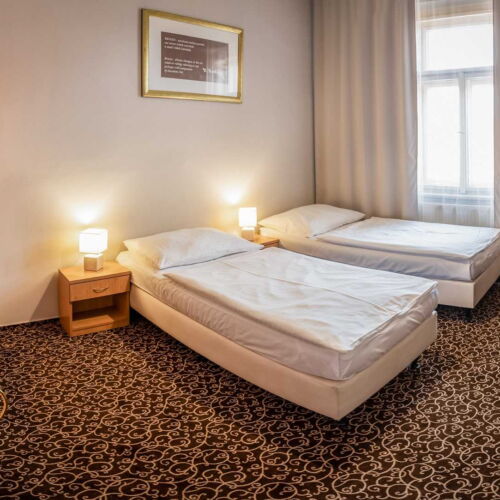 Standard Twin Room with Shower
