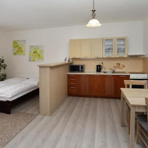 Apartament studio cu chicinetă proprie cu 1 camera pentru 2 pers.