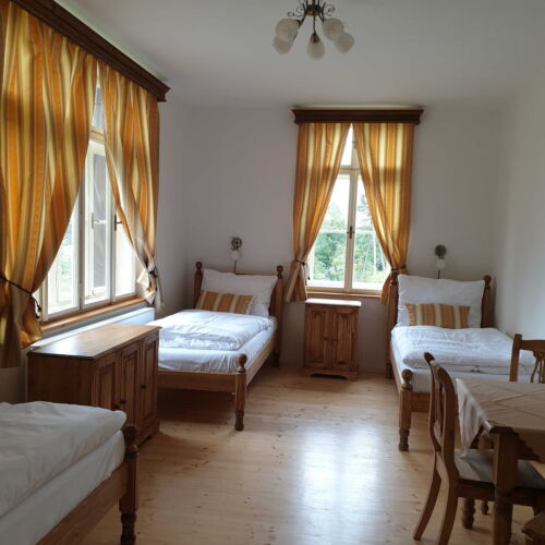 Camera twin cu chicinetă comună (se poate solicita pat suplimentar)