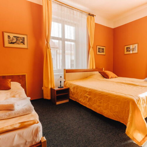 Pokoj se sprchou  pro 3 os.