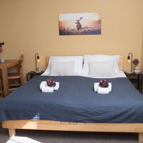 Double Room (extra bed available)