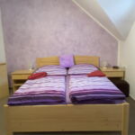 Twin Room with Shower and Terrace (extra bed available)