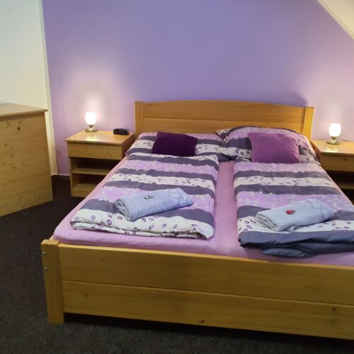 Pokoj s koupelnou s vlastní kuchyní s manželskou postelí