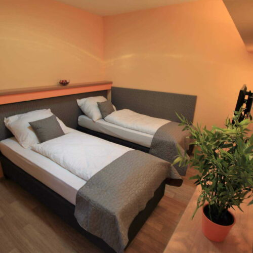 Zweibettzimmer mit Lcd/Plazma Tv und Dusche