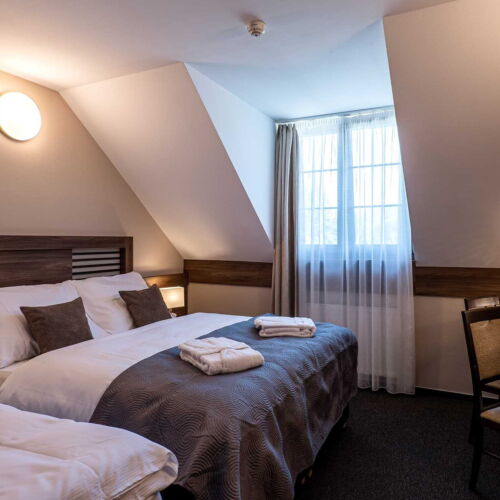 Pokoj se sprchou  pro 3 os. (s možností přistýlky)