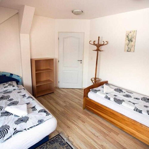 Camera tripla cu duș cu terasă