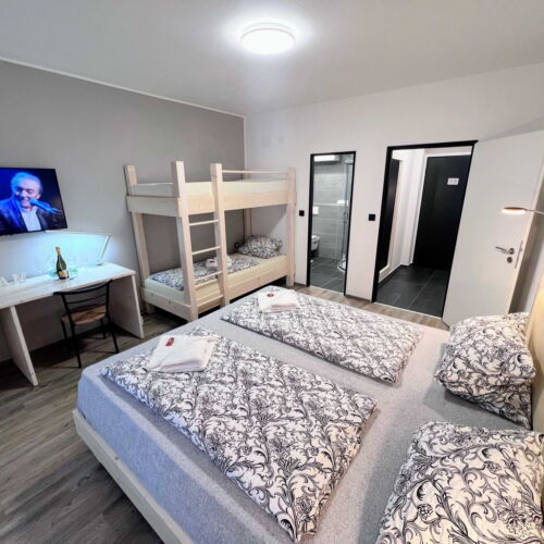 Pokoj se sprchou  pro 2 os. (s možností přistýlky)