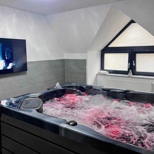 Pokoj se sprchou  pro 2 os. (s možností přistýlky)