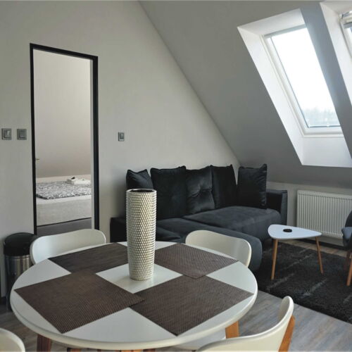 Pokoj se sprchou pro 4 os. v podkroví (s možností přistýlky)