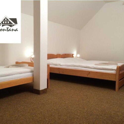 Pokoj se sprchou  pro 3 os.