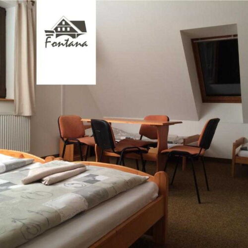 Pokoj se sprchou s privátní koupelnou mimo apartmán pro 4 os.