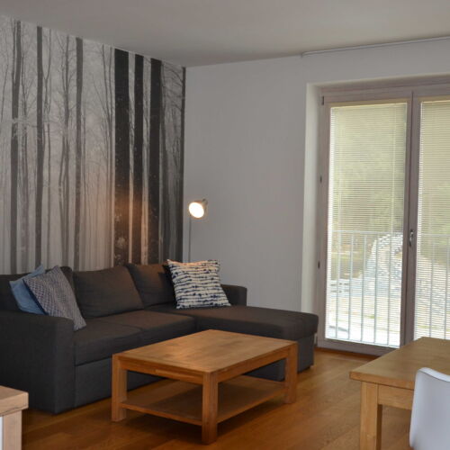 Apartman se sprchou s vlastní kuchyňkou pro 6 os. (s možností přistýlky)