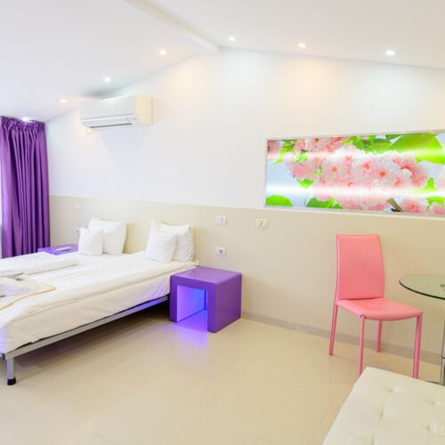 Suita executive cu 1 camera pentru 3 pers.